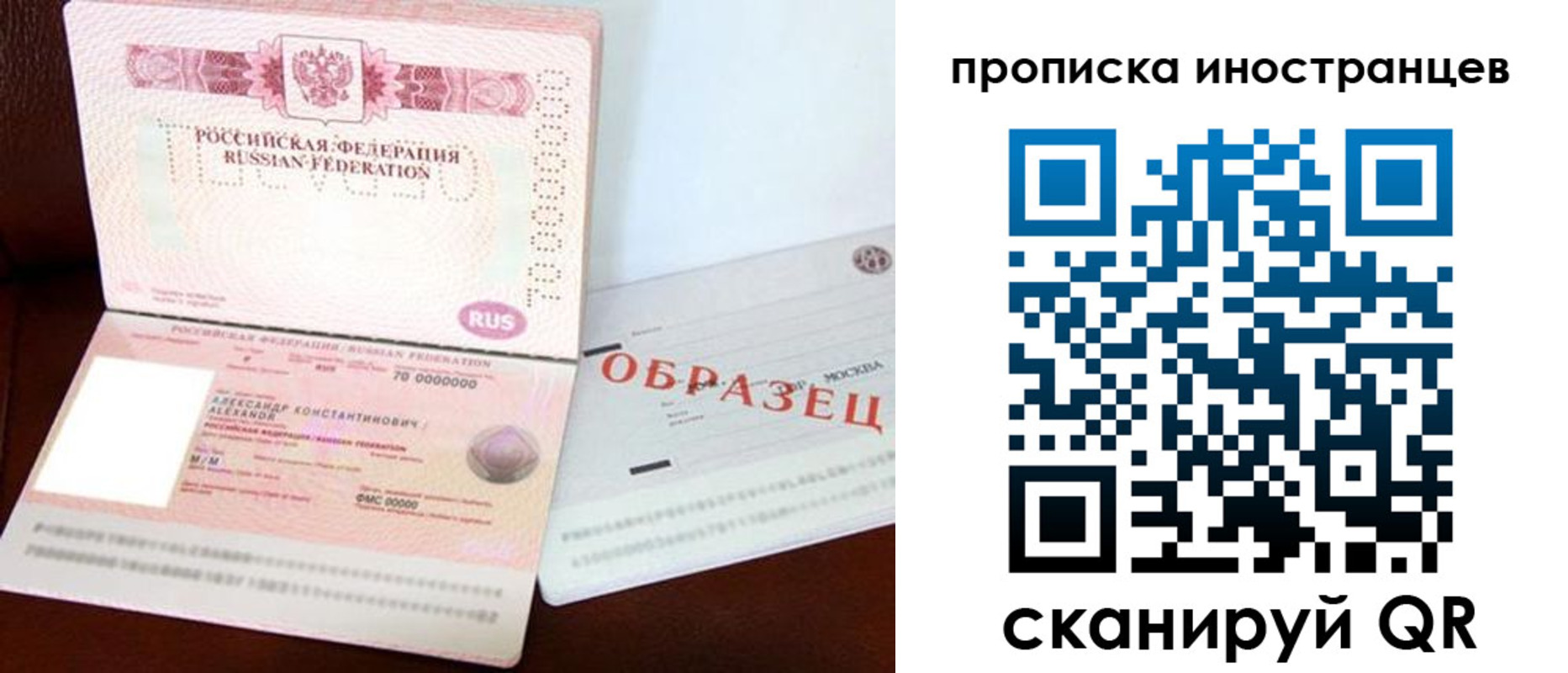 прописка поиск в Видном